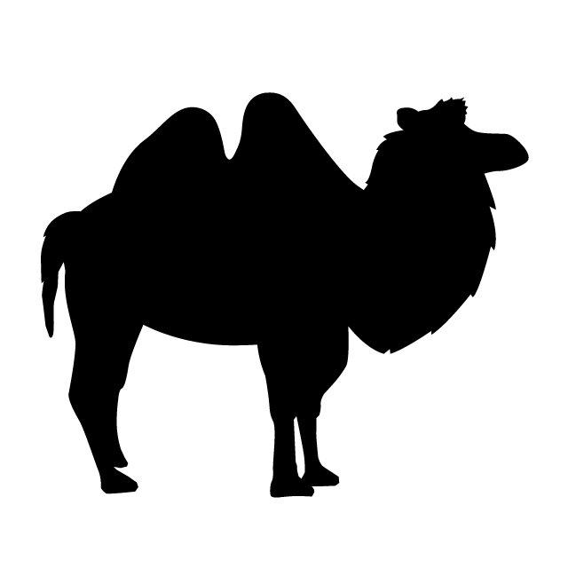 640x640 Camel Animal Silhouette Free Illustrations