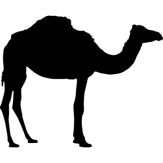626x626 Camel Silhouette Icons Free Download