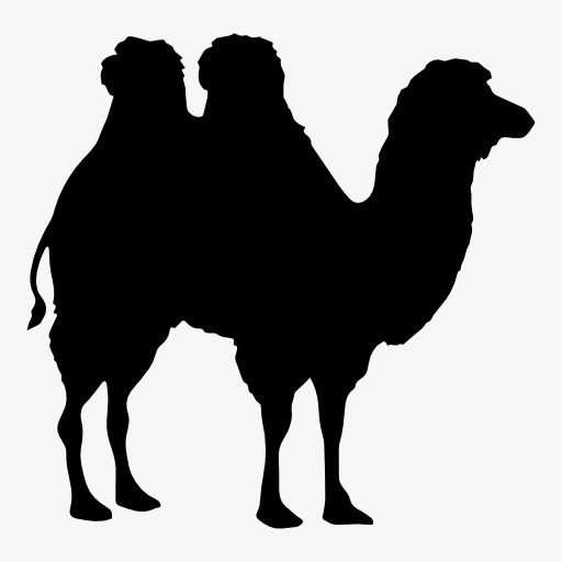 512x512 Camel Silhouette, Animal, Projection, Black Silhouette Png Image