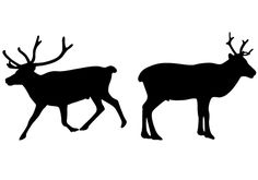 236x165 Free Camel Silhouette Vector For Download