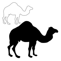 240x240 Search Photos By Smaliars