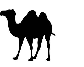 Camels Silhouette