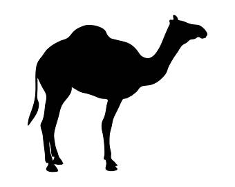 340x270 Camel Svg Etsy