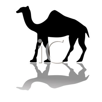 350x350 Picture Of A Silhouette Of A Camel And It's Shadow In A Vector