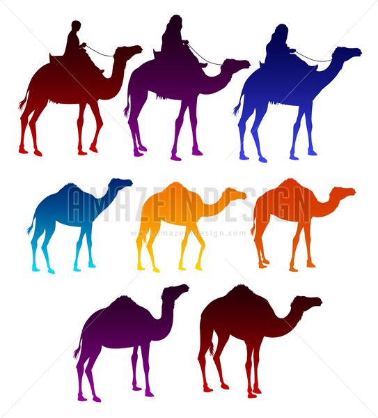 543x600 Of Colorful Vector Camels Silhouette