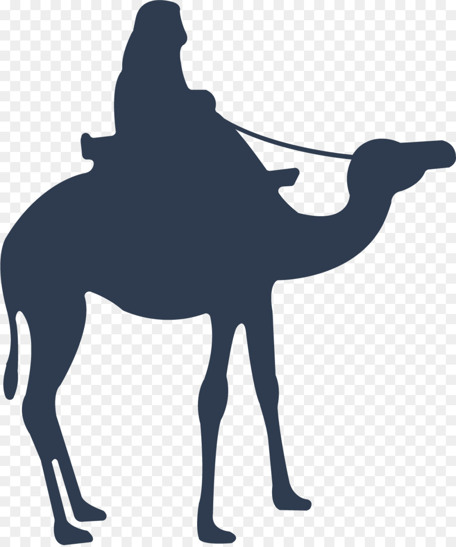 900x1080 Camel Download Icon
