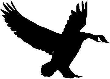 360x259 Goose Silhouette Landing Hunting Decal 5 X 3.5 Ebay