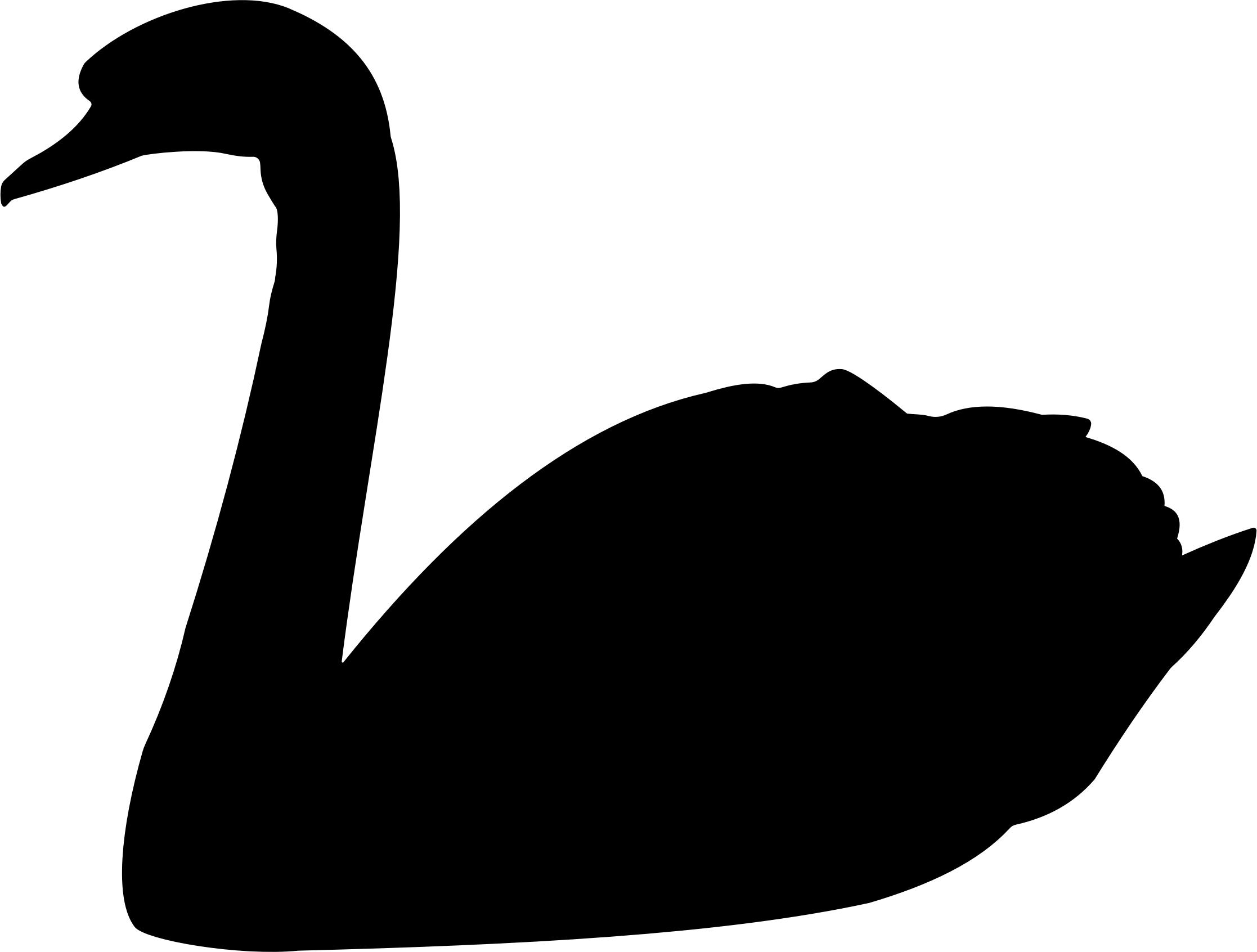 2234x1692 Swan Silhouette 2 Icons Png