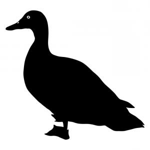 300x300 Vector Isolated Silhouette Goose Duck Createmepink
