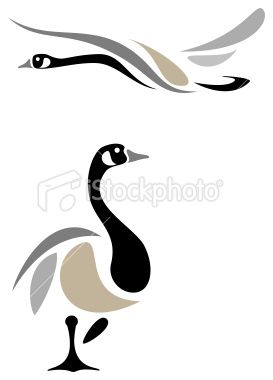 273x380 Canada Geese