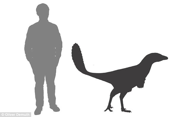 634x396 New Species Of Bird Like Dinosaur Discovered In Canada Daily
