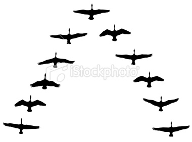 380x281 Vector Illustration Of Canada Geese Silhouettes In Vee Formation