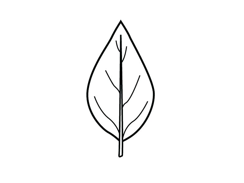 800x600 Maple Leaf Silhouette 2 Free Vector In Open Office Drawing Free