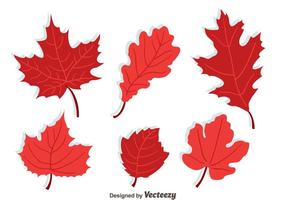 286x200 Maple Leaf Free Vector Art