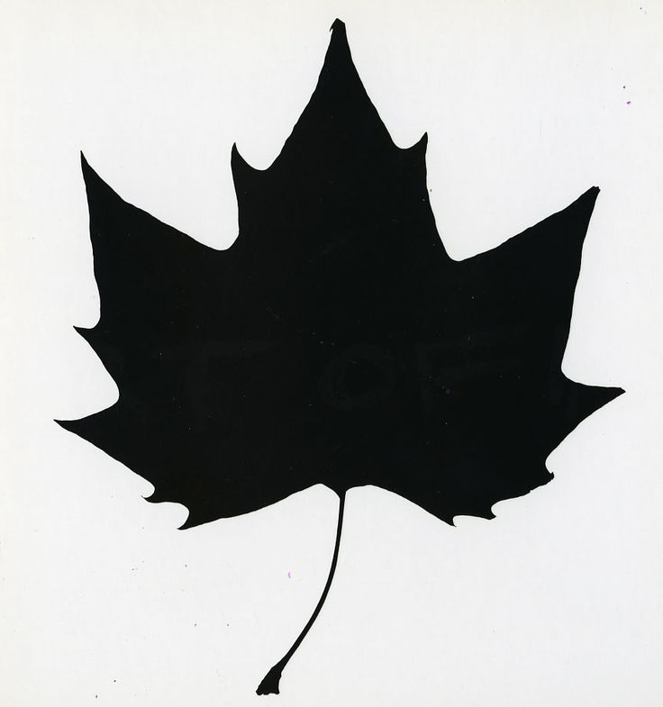 736x785 Maple Leaf Clipart Silhouette