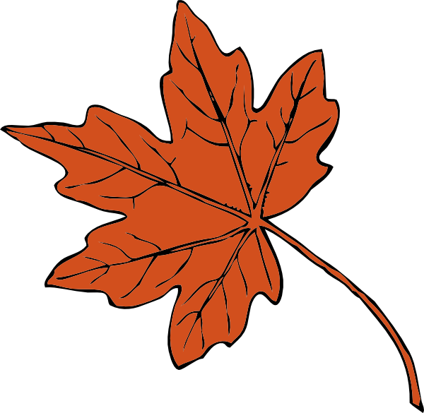 600x585 Canadian Maple Leaf Clip Art