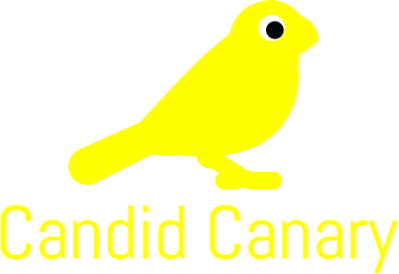 399x274 Candid Canary