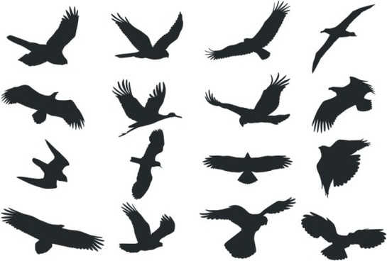 545x368 Bird Free Vector Download (2,585 Free Vector) For Commercial Use