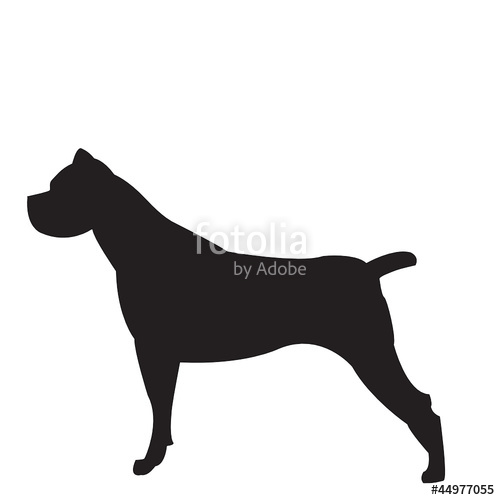 500x500 Cane Corso, Sagoma Stock Image And Royalty Free Vector Files