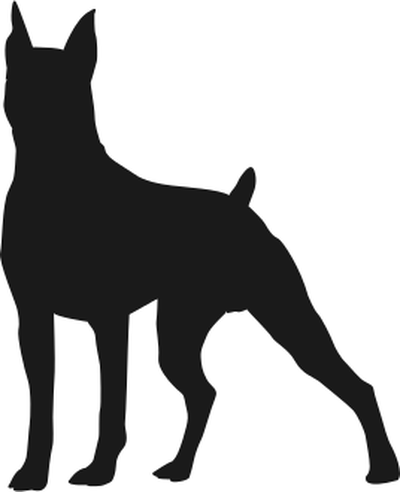 400x492 Cane Corso Dog