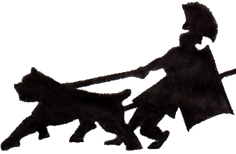 338x220 Kevlar Kennels, Cane Corso Mastffs, Lorain, Oh Kutya