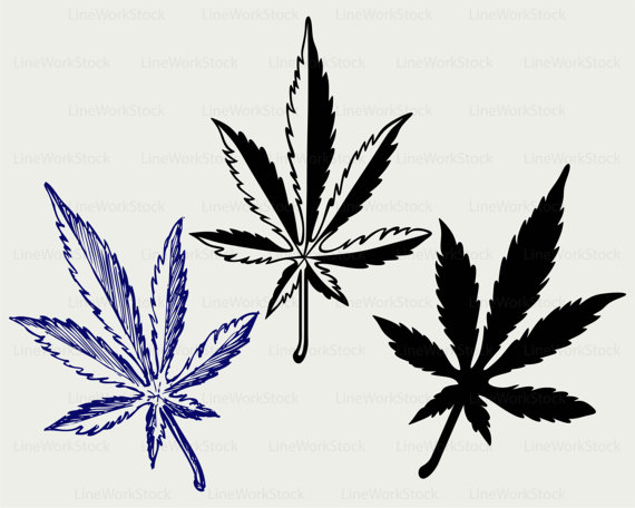570x456 Cannabis Svgleaves Clipartmarijuana Svgcannabis