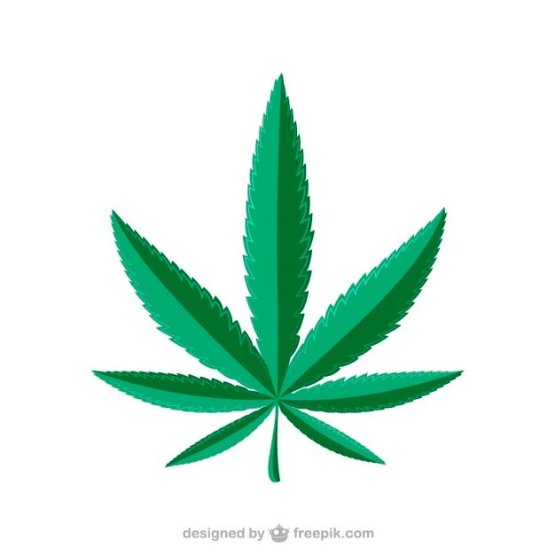 626x626 Marijuana Leaf Vector Free Download