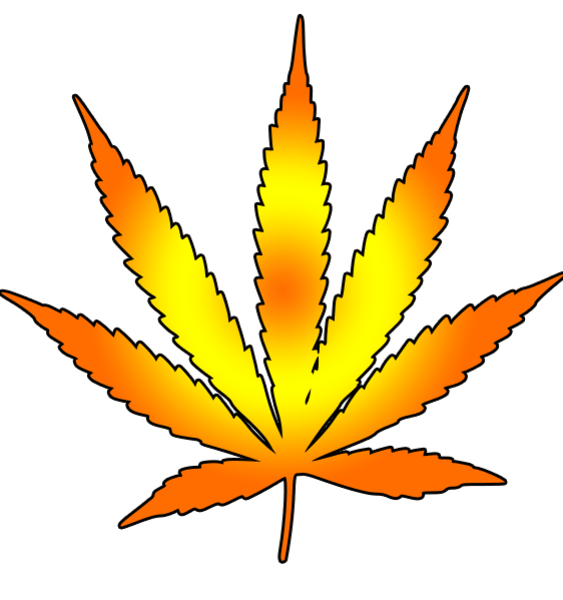 563x600 Weed Clipart Leaf Graphic