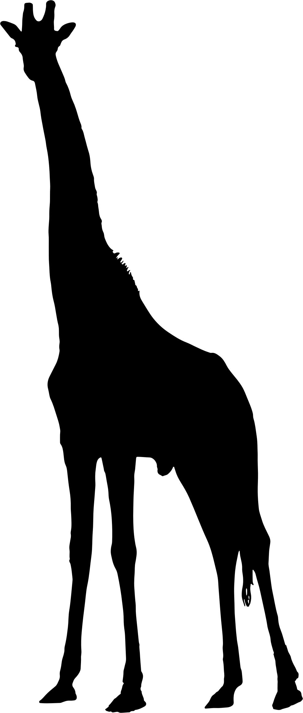 988x2326 Giraffe Silhouette 2 Icons Png