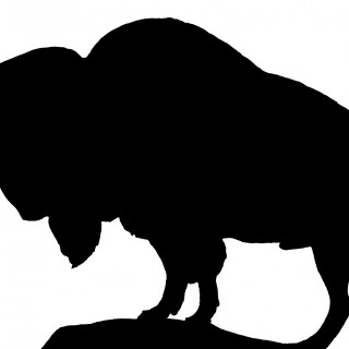 320x320 Silhouettes Archives