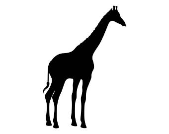 340x270 Buffalo, Bison, Bull Skull Svg, Longhorn, Cutout, Vector Art