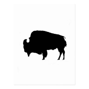 307x307 Buffalo Silhouette Postcards Zazzle