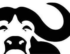 236x184 Water Buffalo