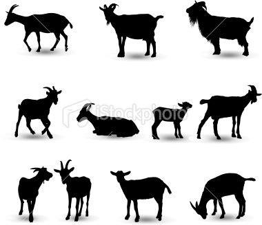 380x327 Middle Left Goat For Capricorn Part Of Tattoo Primages