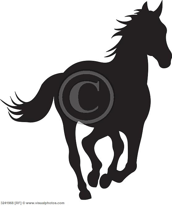 557x670 382 Best Applicatie Inspiratie ~ Silhouette Inspiration Images