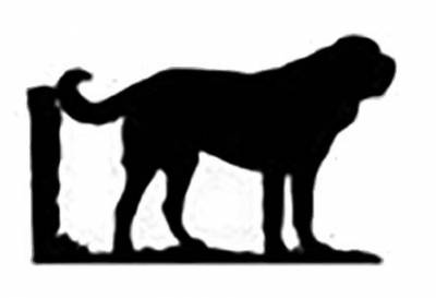 400x273 Car Pets Ltd Find Offers Online And Compare Prices