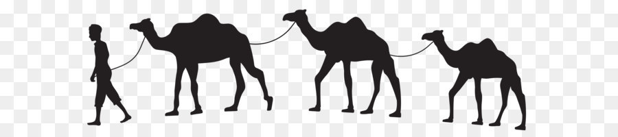 900x200 Camel Train Caravan Clip Art