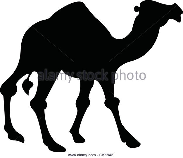 626x540 Camels Caravan Stock Vector Images