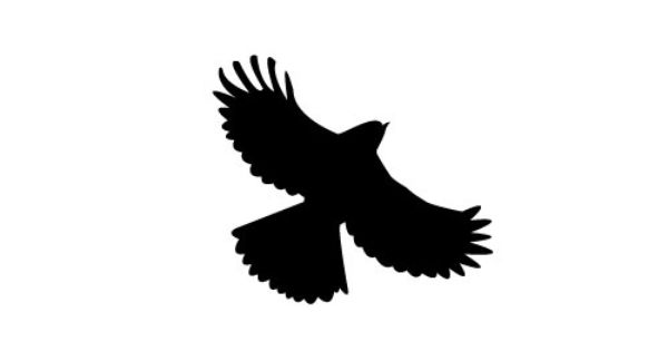 600x315 Bird In Flight Silhouette Clipart