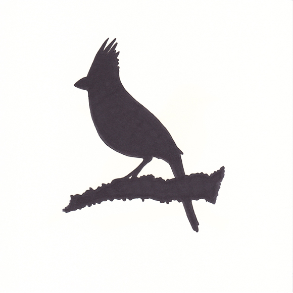 580x581 Birds Without Borders Rachelle Vasquez