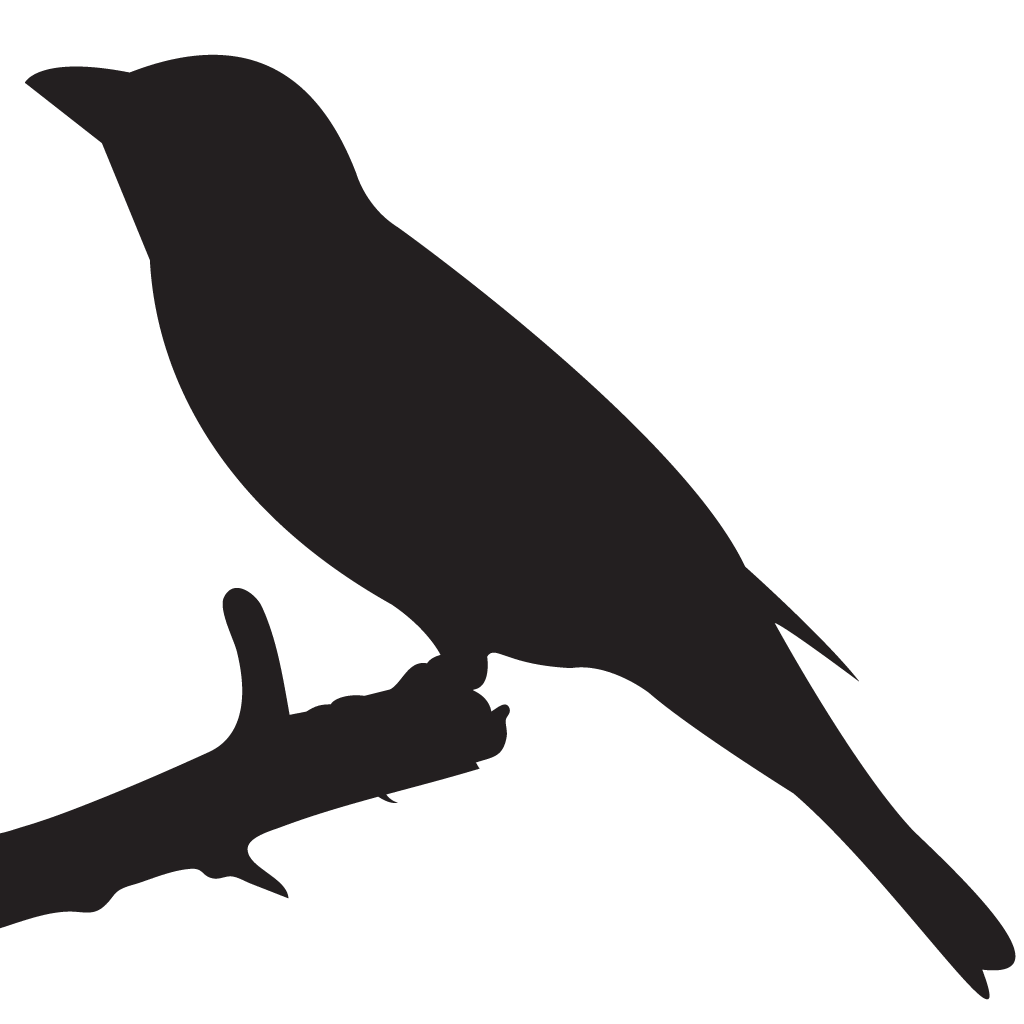 Cardinal Silhouette at GetDrawings | Free download