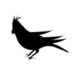 160x160 Black Cardinal Bird Silhouette With Opened Wings On White