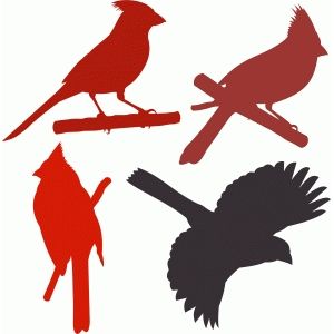 Cardinal Drawing At Getdrawings Free Download