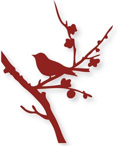 236x292 Google Image Result