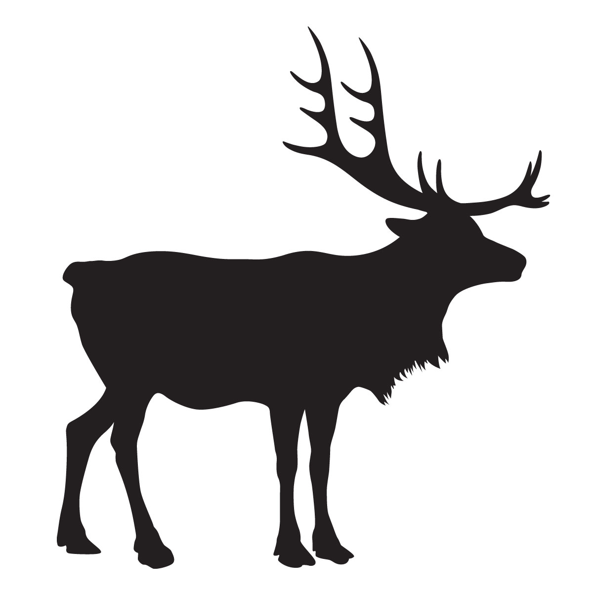 1200x1200 Reindeer Stencil For Glitter Tattoos For Horses