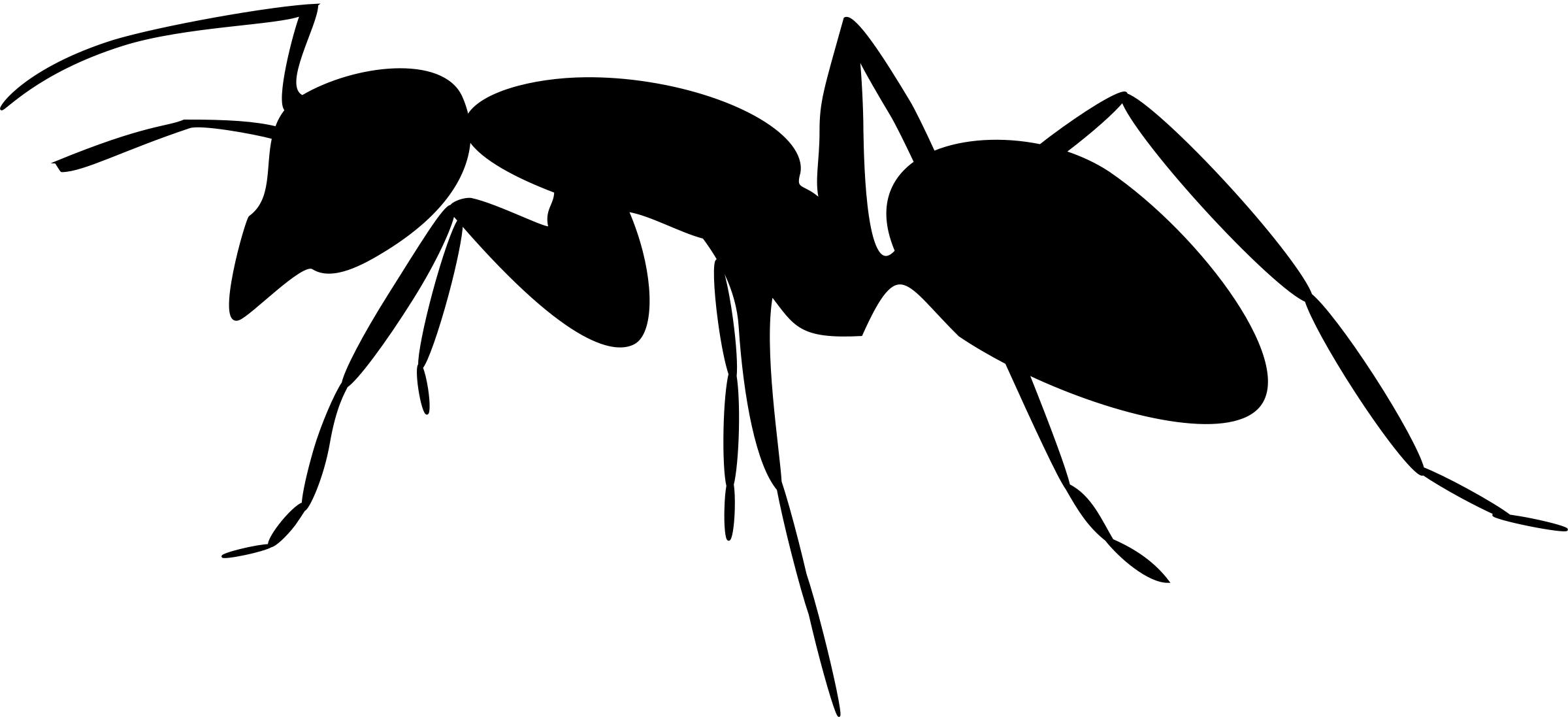 2400x1097 Ant Silhouette 3 Icons Png