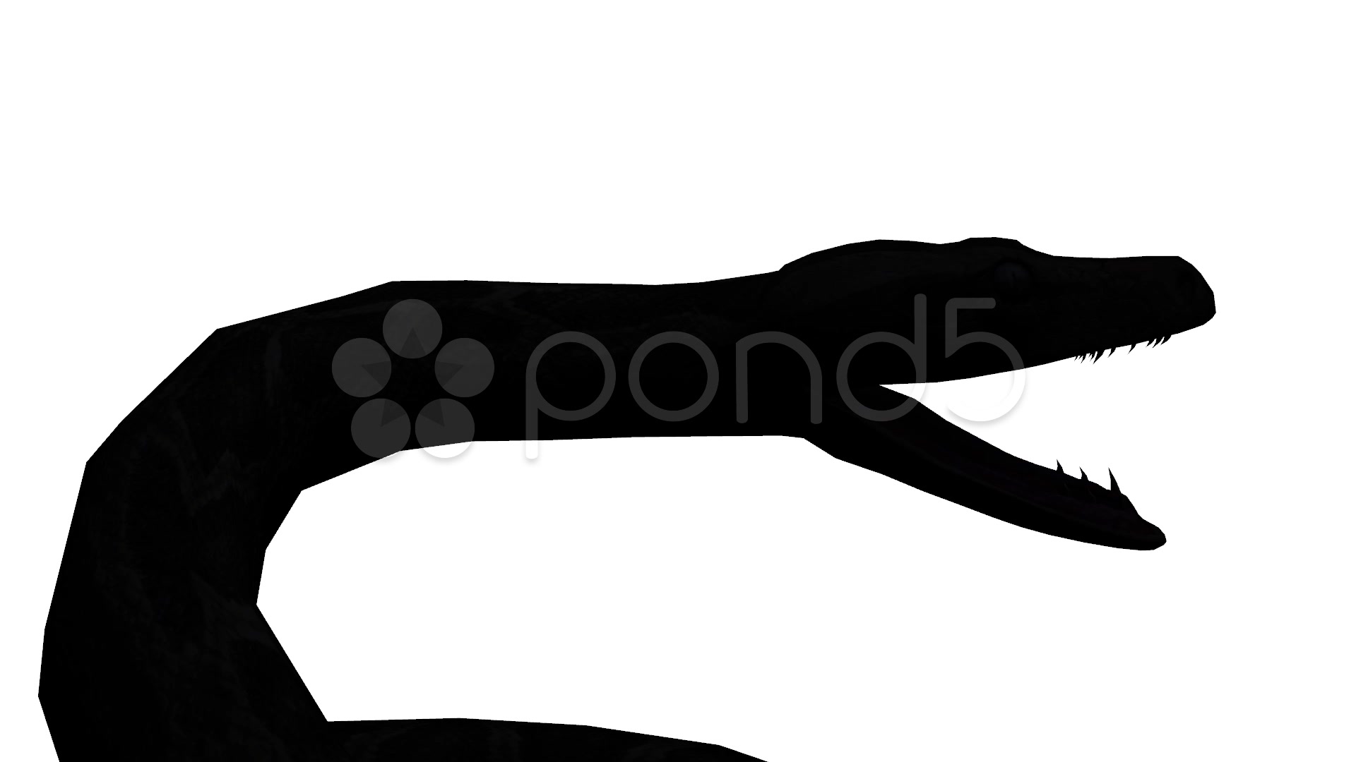 1920x1080 Snake Amp Jungle Carpet Python Open Mouth Attack,sliding Sketch