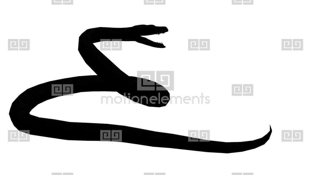 1024x576 Snake Ampamp Jungle Carpet Python Open Mouth Attack,sliding Sketch