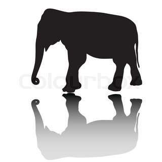 320x320 Elephant Animal Isolated Vector Stock Vector Colourbox