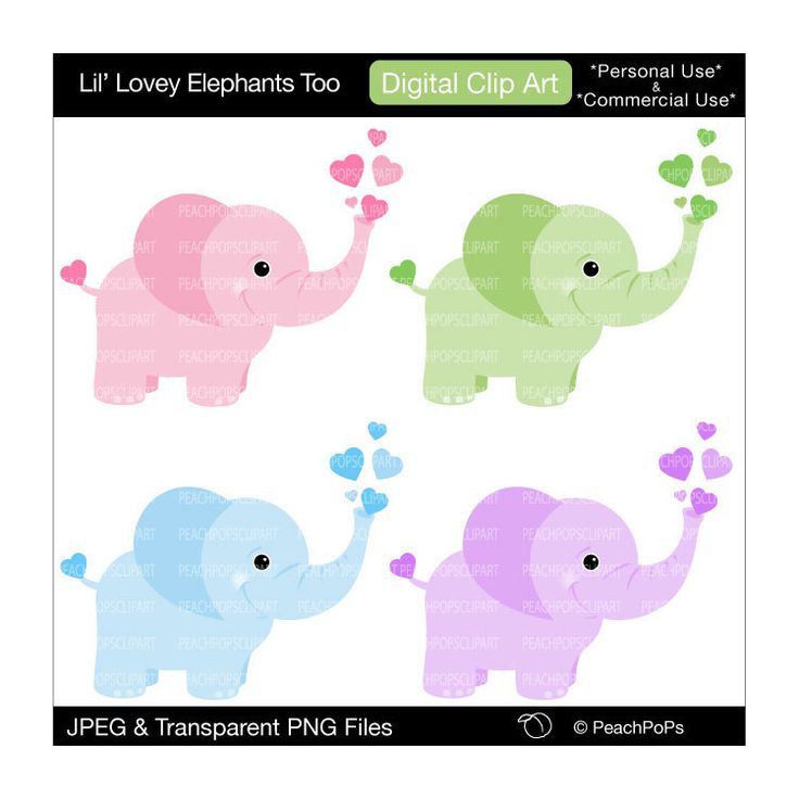 736x736 2 Cute Elephants Clipart